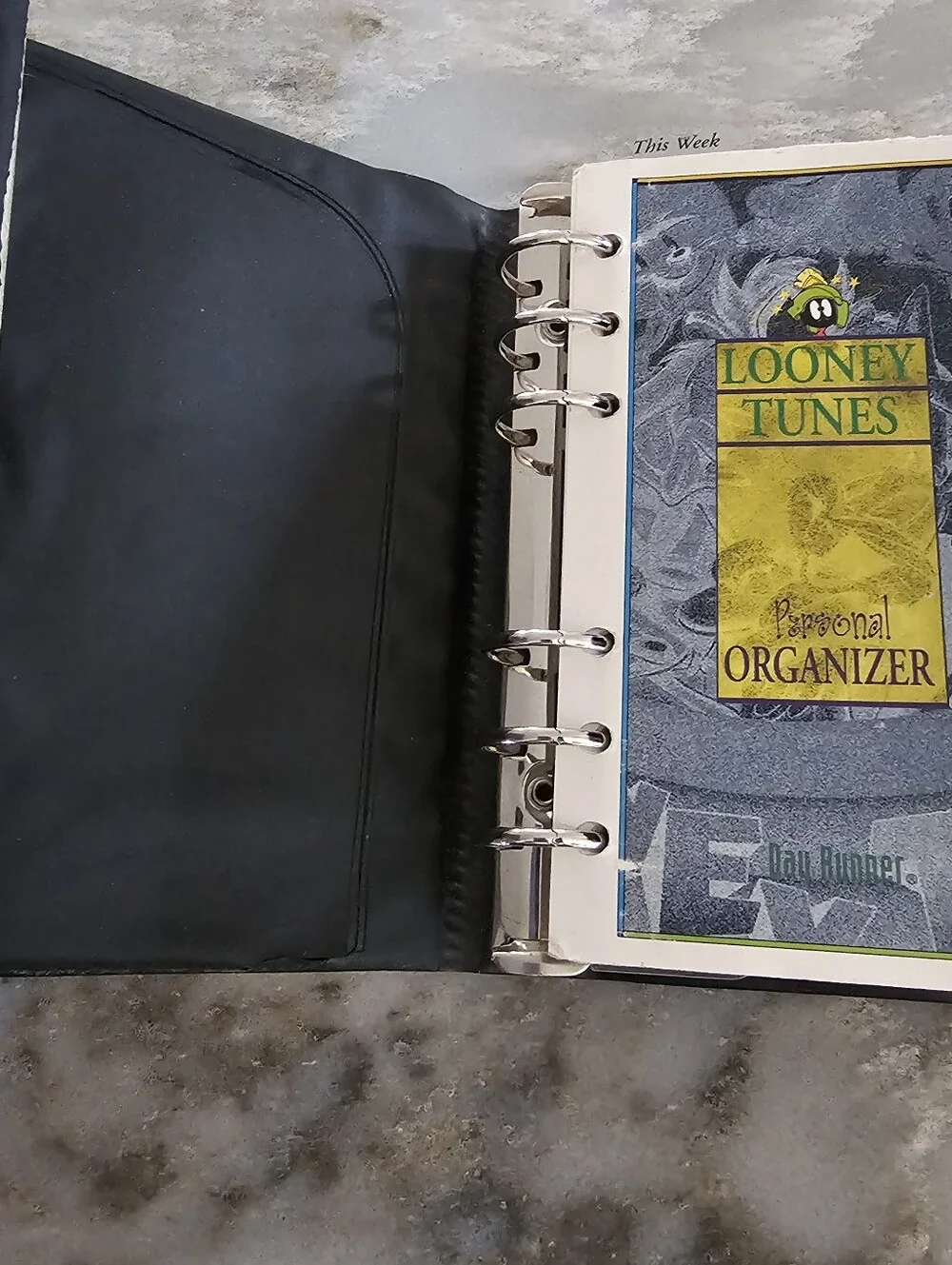 Vintage 1995 Looney Tunes Day Runner Personal Organizer Planner 6-Ring Binder